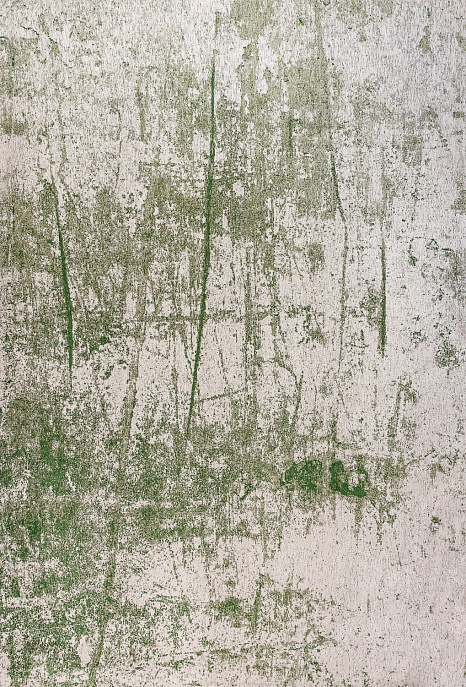 Бельгийский ковер из полиэфирного шёлка «SHINY FEATHER» 9489-PIQUANT GREEN