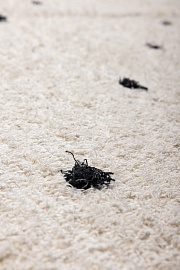 Испанский ковер из хлопка «BARCELONA ART» PUNTITOS NOIR 5