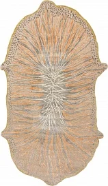 Индийский ковер из шёлка и шерсти «FLORALIS» FLORALIS ORANGE I 1