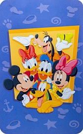 DISNEY FAMILY