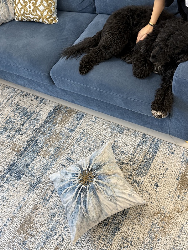 Отзыв Ксения