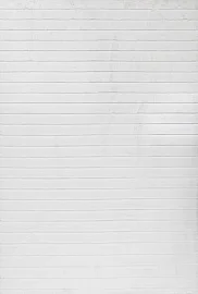 Китайский ковер из полиэстера «Arctic Fox» X11-Ivory 1