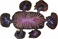 Индийский ковер из шёлка и шерсти «FLORALIS» FLORALIS CALADIUM 1