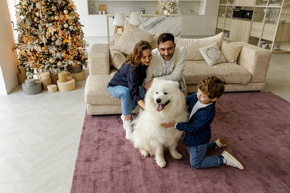 Индийский ковер из арт-шёлка «CROSS» AS1-03-PLUM