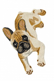 FAUNA FUN