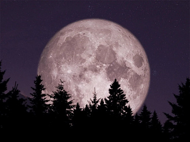 20 июля – день Луны