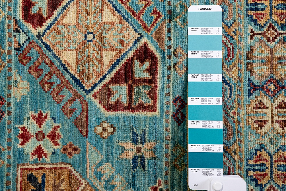 Пакистанский ковер из шерсти «SHAWL KANDI» MULTY-MULTY(171x240)