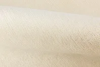 BLANC DE BLANCS