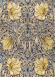MORRIS & CO