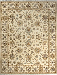 GAZNI D