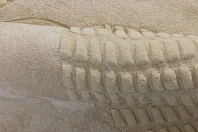 Индийский ковер из шерсти и эвкалиптового шёлка «VELVET MIRAGE» MADELINE 3