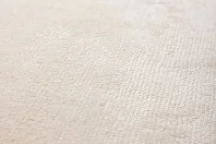 BLANC DE BLANCS