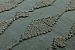 Подушка Sweet Home NEU-15Y