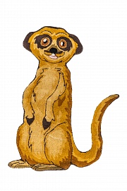 FAUNA FUN