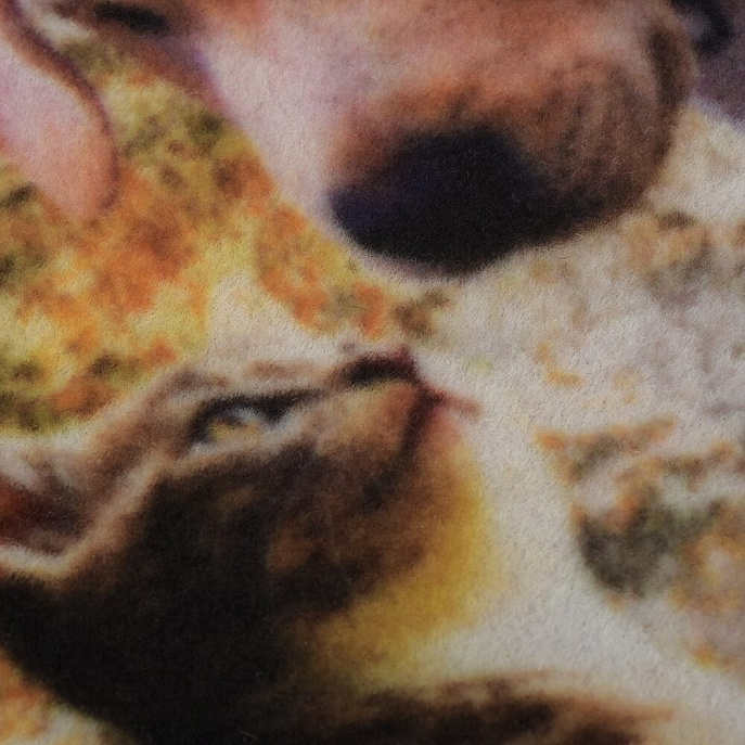 Китайский ковер из синтетики «VORTEX» Samba Котенок и щенок
