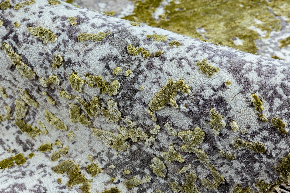 Индийский ковер из шерсти и шёлка «WEST HOLLYWOOD» PJ23554-GREEN 4