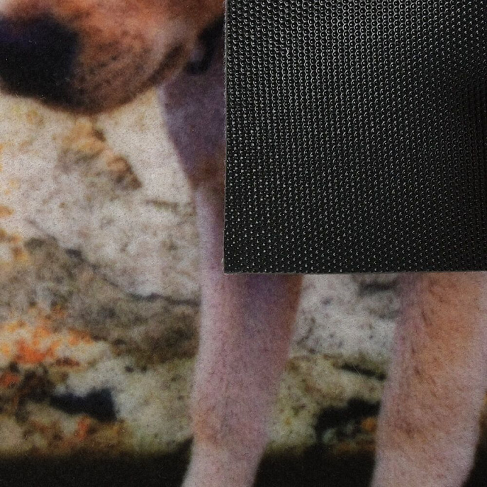 Китайский ковер из синтетики «VORTEX» Samba Котенок и щенок
