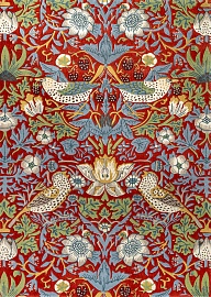MORRIS & CO