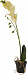 Искусственный цветок "Орхидея в горшке"