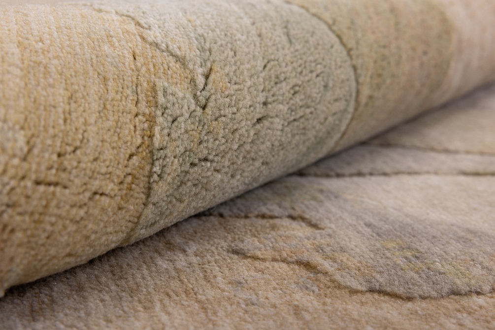 Индийский ковер из шерсти и модала «WESTWOOD» ENG-105-AGN 5