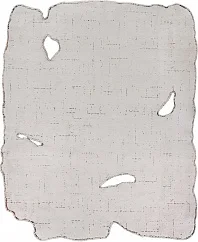 Турецкий ковер из хлопка, вискозы и полиэстера «AMORPH» 8003-RUST - CHARCOAL - ECRU 1