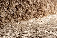 Индийский ковер из полиэстера и хлопка «SHAGGY LUXE» PSR17004-A075 3